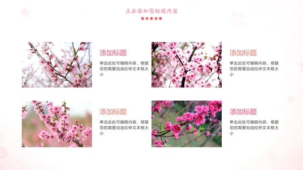 粉红唯美关爱女性健康妇联工作汇报PPT模板