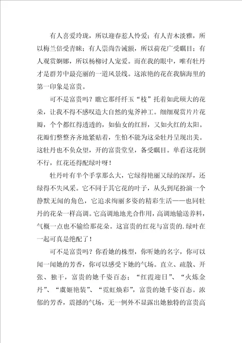 富贵牡丹作文