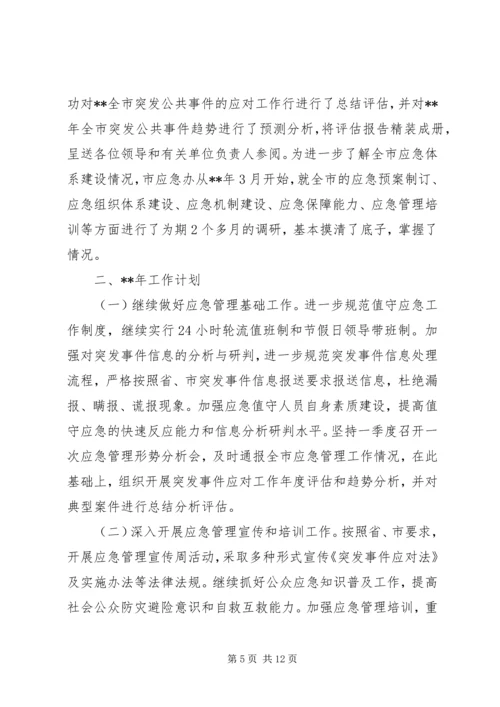 市应急管理办公室工作总结与计划.docx