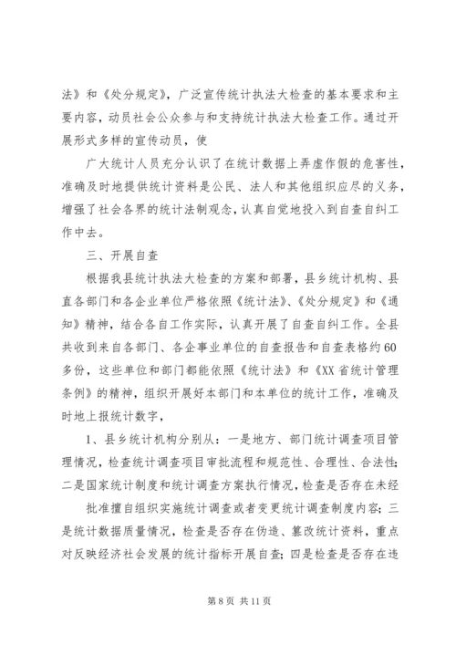 县统计执法检查自查报告.docx