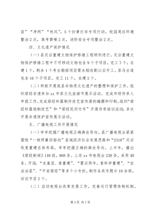 乡镇文新广局上半年工作总结及下半年工作安排.docx