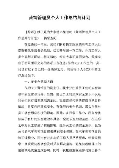 营销管理员个人工作总结与计划