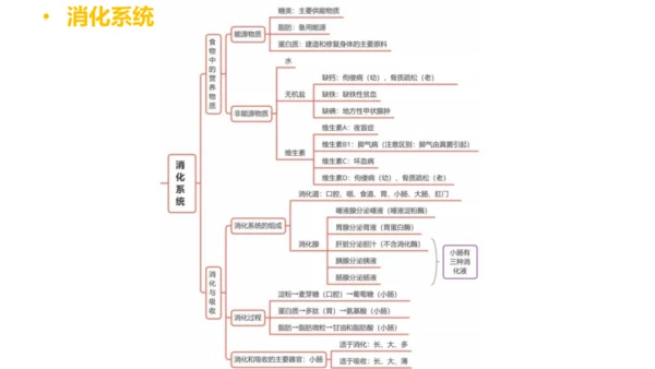 第四单元 生物圈中的人 七年级生物下册同步精品课件（人教版）(共31张PPT)