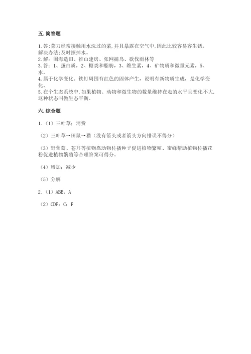 教科版科学六年级下册期末测试卷附参考答案【培优b卷】.docx
