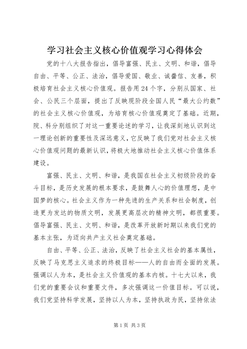 学习社会主义核心价值观学习心得体会.docx