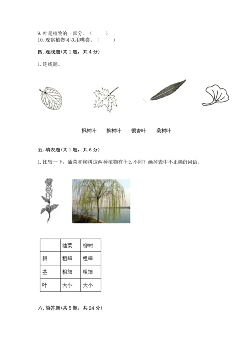 教科版一年级上册科学期末测试卷精品（精选题）.docx