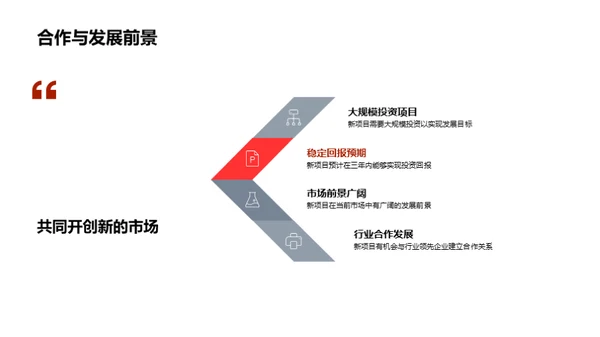 新项目投资展望