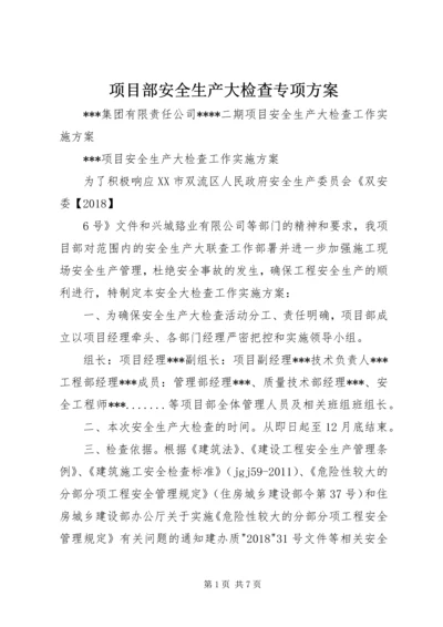 项目部安全生产大检查专项方案_1.docx