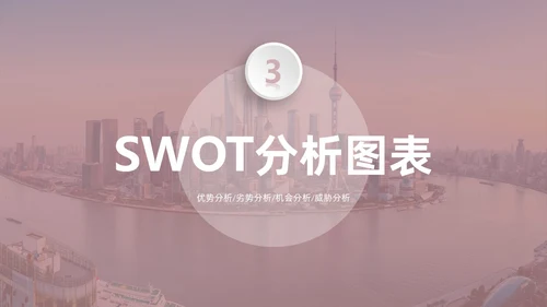 莫兰迪茶色商务SWOT分析培训PPT模板