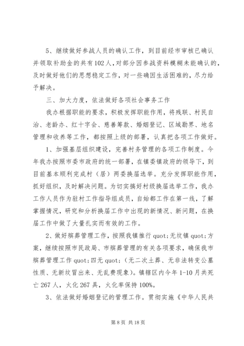 乡镇社会事务办年终工作总结范文.docx