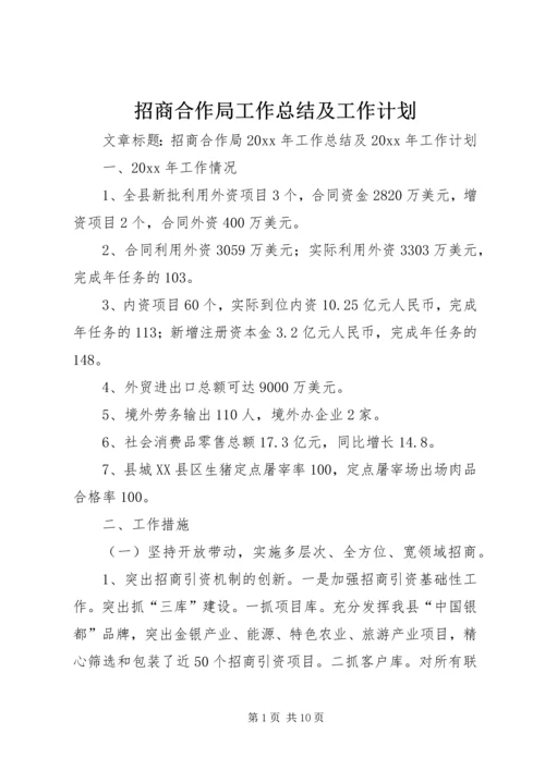 招商合作局工作总结及工作计划.docx