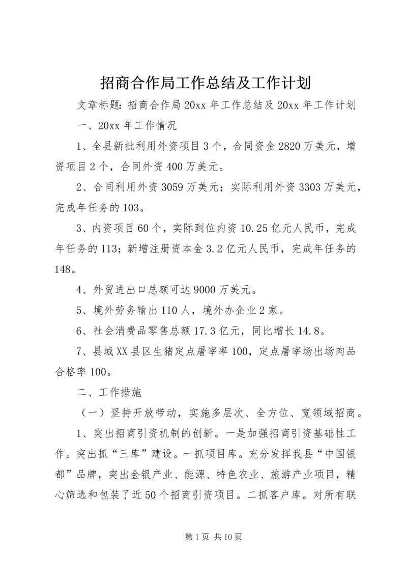 招商合作局工作总结及工作计划.docx