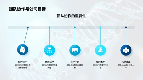 打造高效团队