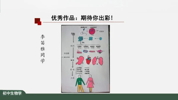 2.2.2 动物体的结构层次 课件（共24张PPT）