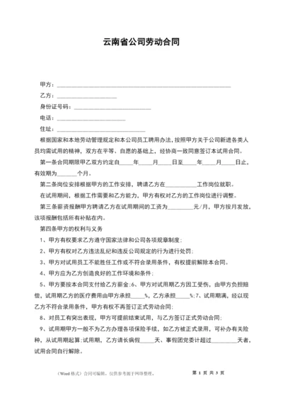 云南省公司劳动合同.docx