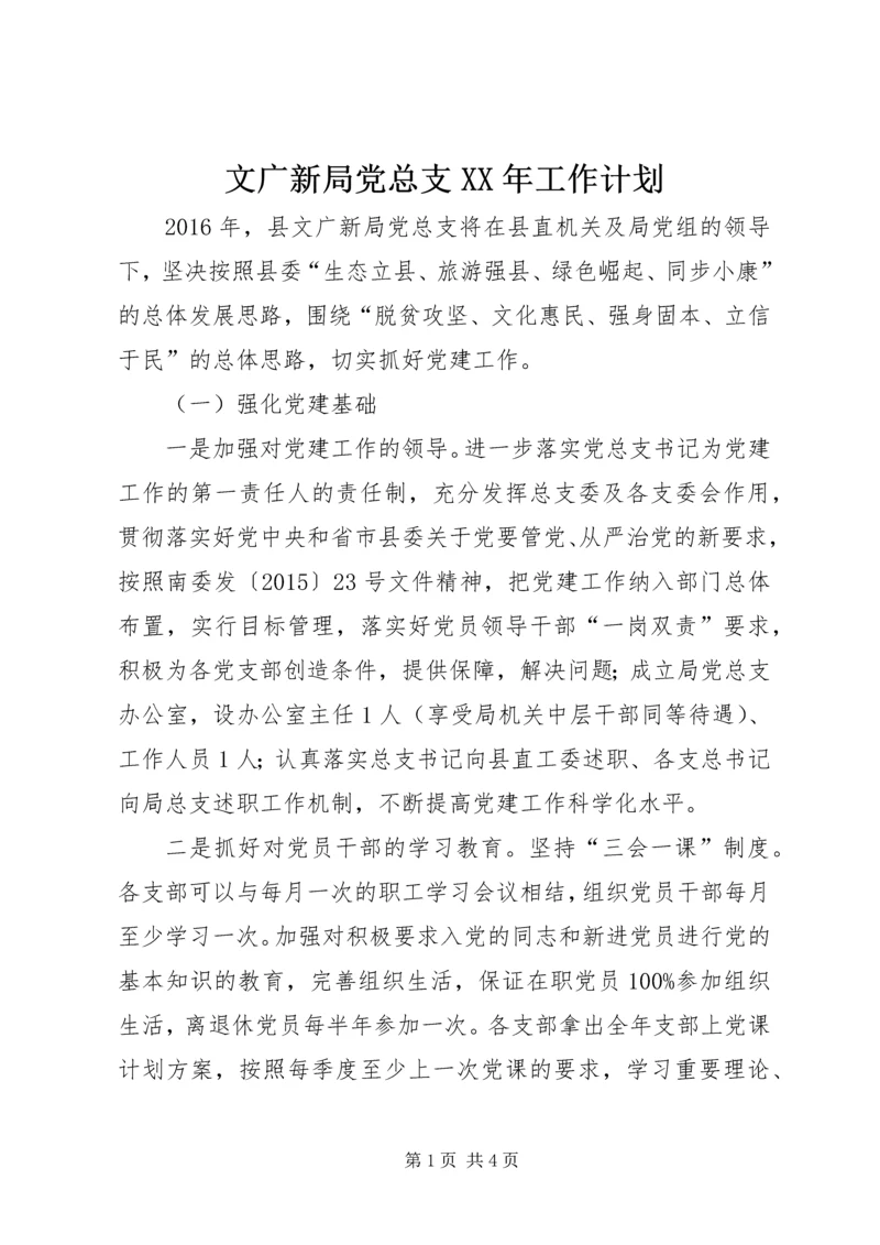 文广新局党总支XX年工作计划.docx