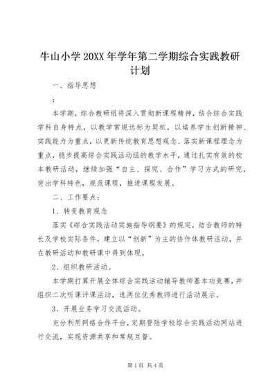 牛山小学20XX年学年第二学期综合实践教研计划.docx