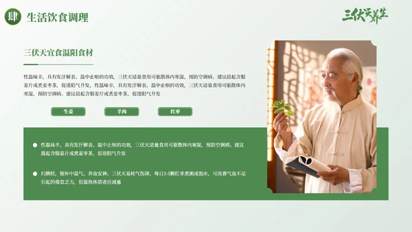 绿色古风三伏天养生健康指南PPT模板