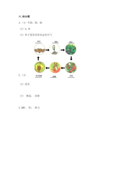 科学四年级下册第一单元植物的生长变化测试卷（基础题）.docx