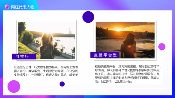 大数据时代下网红现象调查PPT模板