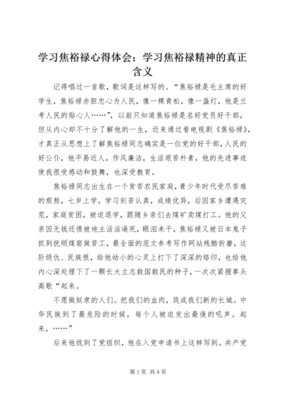 学习焦裕禄心得体会：学习焦裕禄精神的真正含义.docx