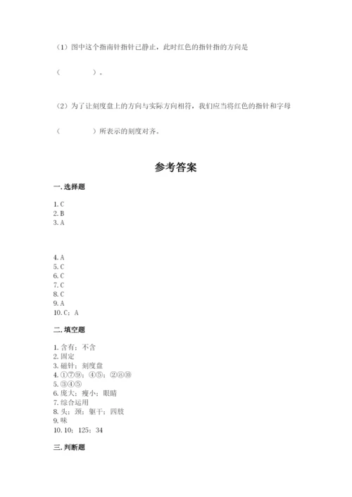 教科版二年级下册科学期末测试卷（考点梳理）.docx