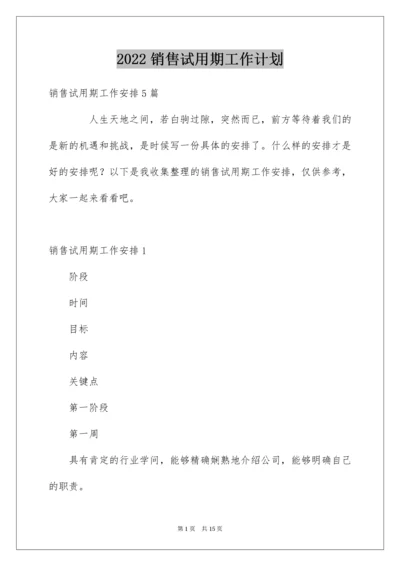 销售试用期工作计划.docx