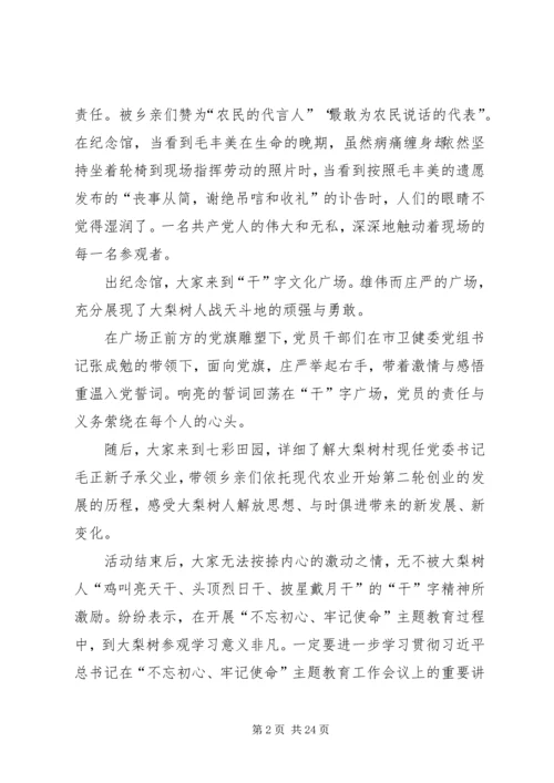 学习毛丰美事迹心得体会.docx