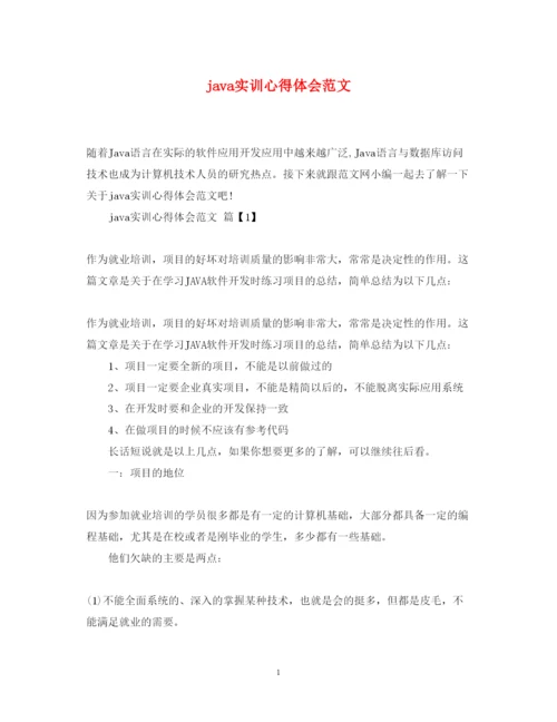 精编java实训心得体会范文.docx