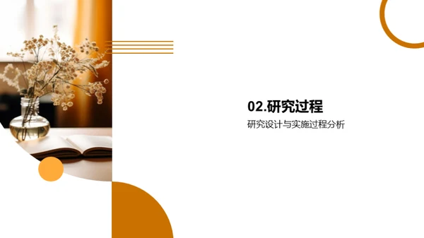 教育学研究透视