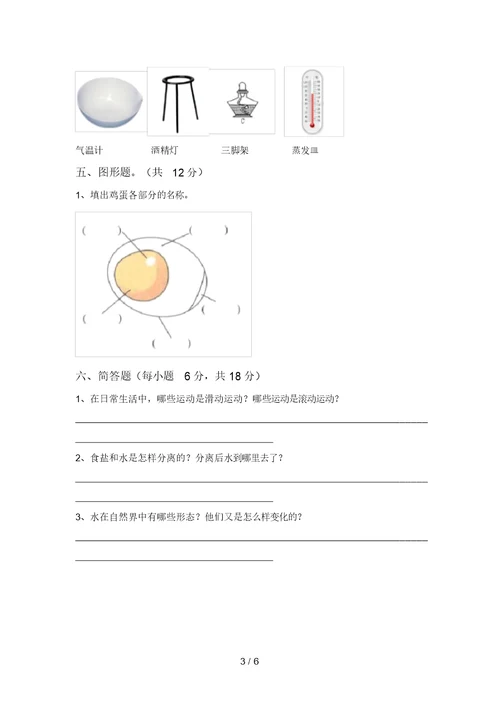 大象版三年级科学上册期中考试卷(A4版)