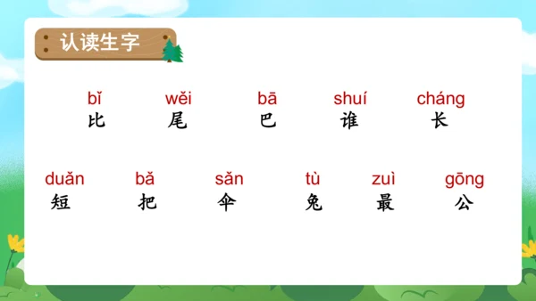 课文6《比尾巴》（教学课件）
