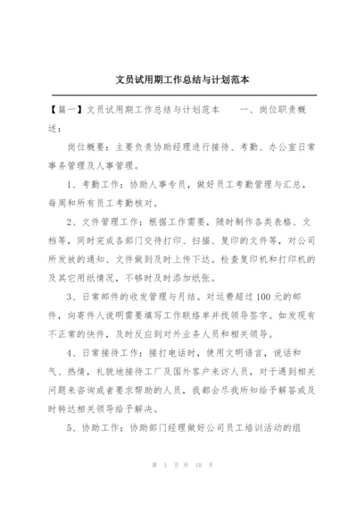 文员试用期工作总结与计划范本.docx