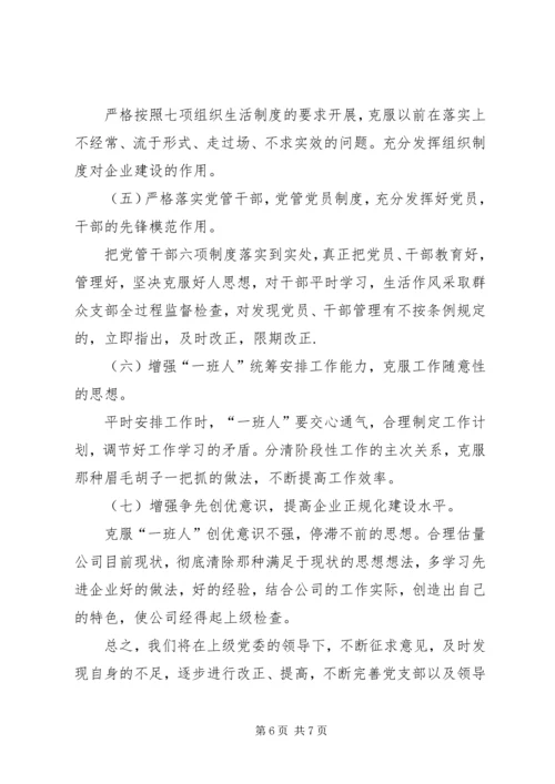 公司班子成员民主生活会剖析材料.docx