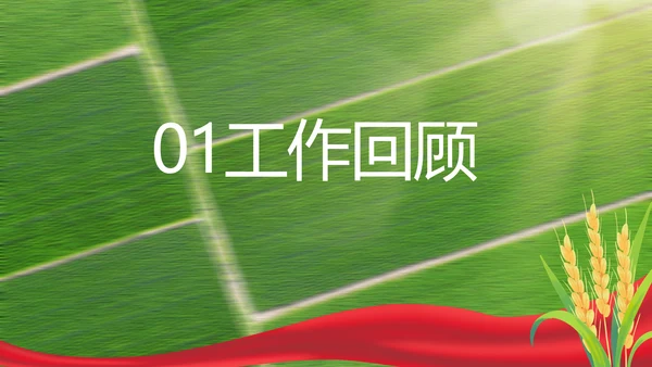 党建引领促发展乡村振兴展画卷PPT