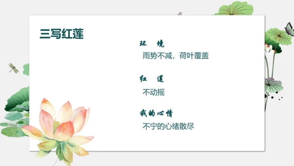 7 散文诗二首 荷叶母亲 课件