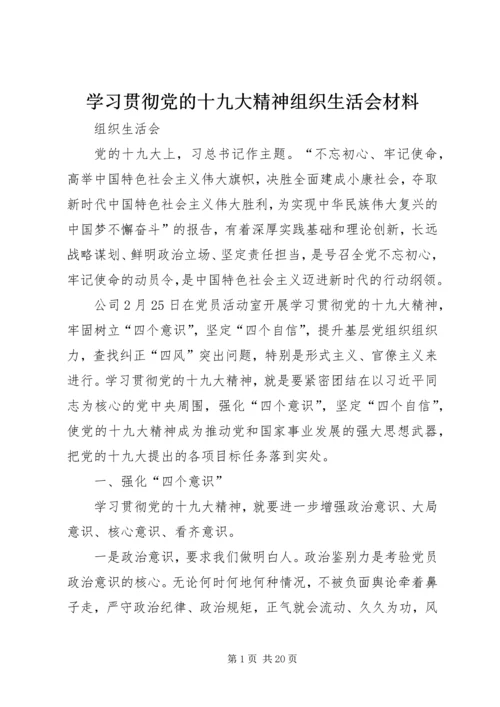 学习贯彻党的十九大精神组织生活会材料.docx