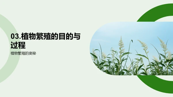 揭秘植物生命旅程