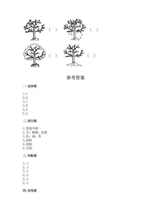 教科版二年级上册科学期末测试卷精品（实用）.docx