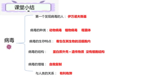 人教版生物七年级上册2.3.4《病毒》（课件）(共19张PPT)+视频素材