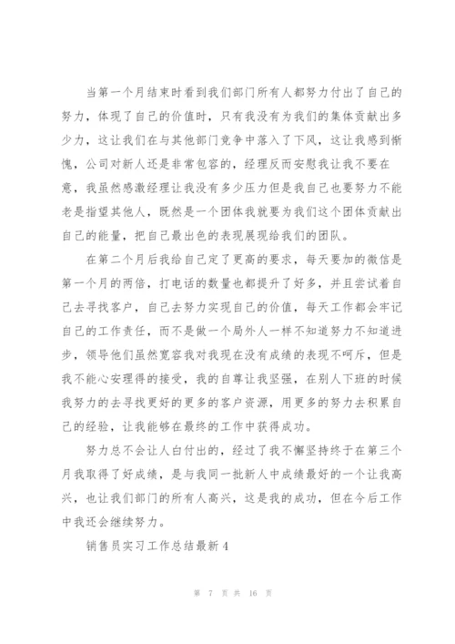 销售员实习工作总结5篇.docx