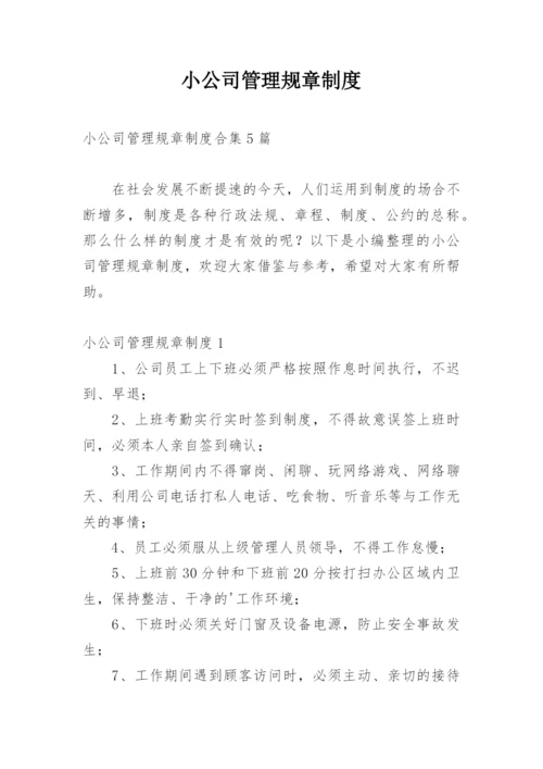 小公司管理规章制度_1.docx