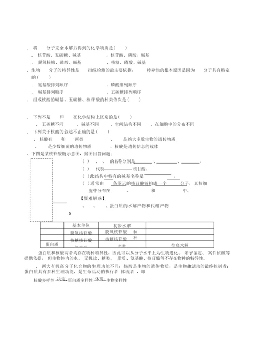 2019高三生物第一轮复习《遗传信息的携带者核酸》学案无答案精品教育.doc115316.docx