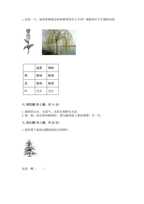 教科版科学一年级上册第一单元《植物》测试卷（综合题）word版.docx