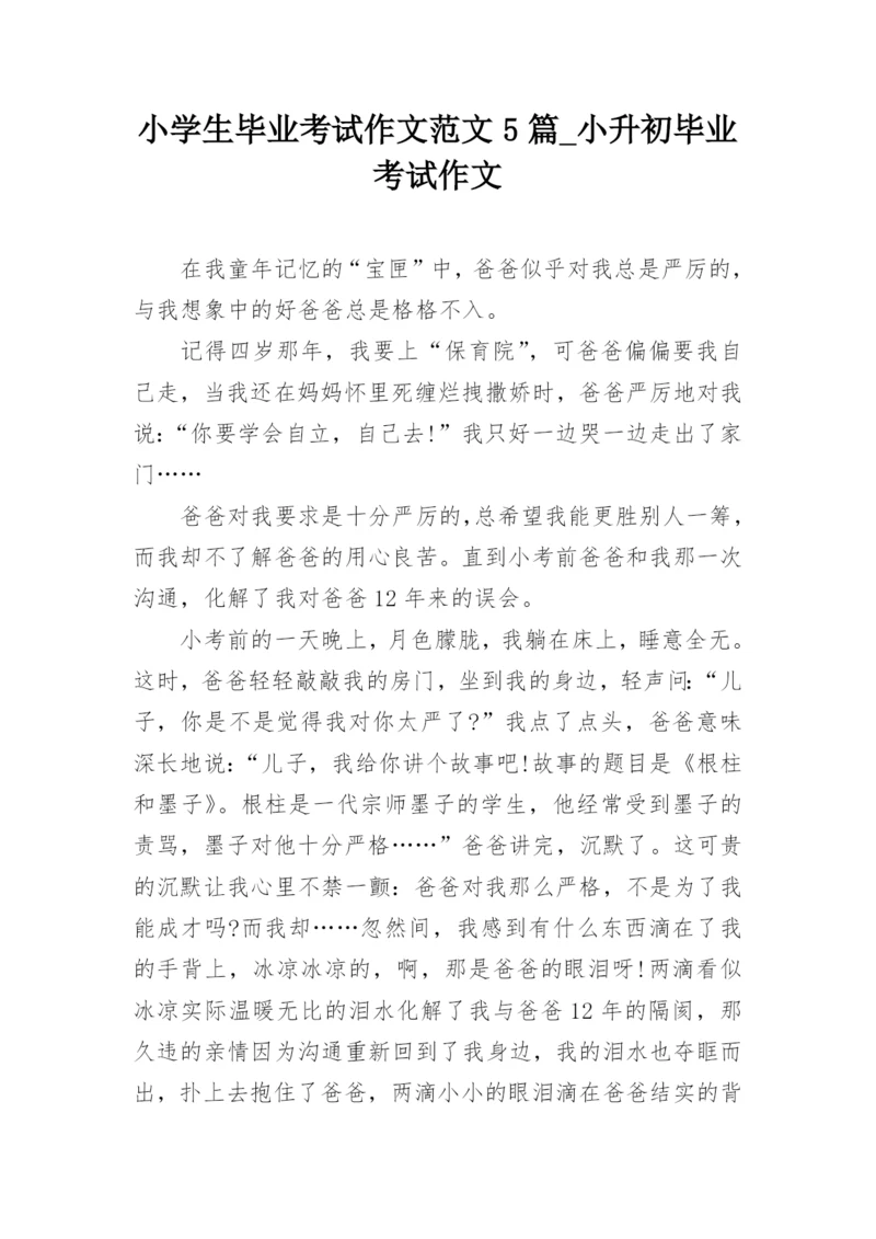 小学生毕业考试作文范文5篇_小升初毕业考试作文.docx