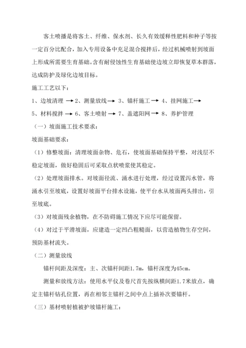 三维网喷播植草关键技术专项方案绿化专项方案.docx