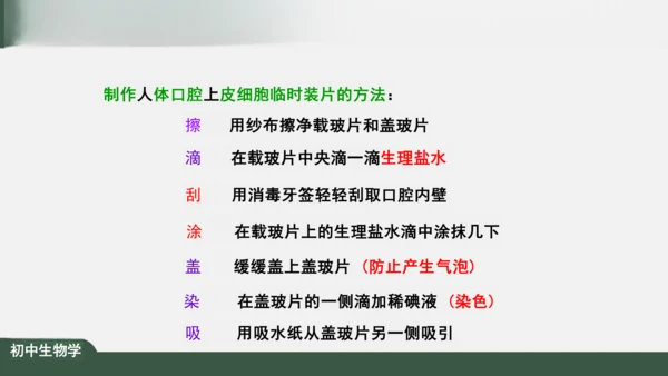2.1.3 动物细胞 课件（共32张PPT）