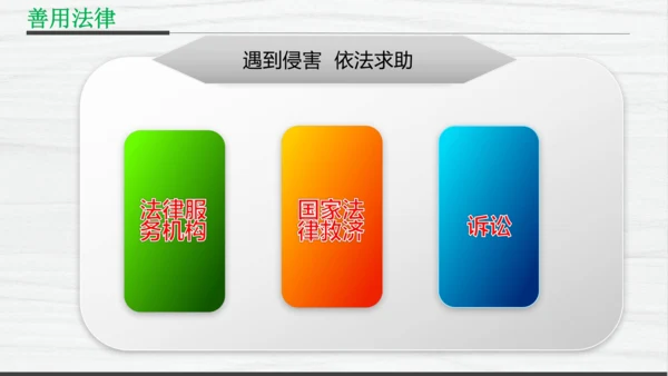 部编版八上道德与法治教材解读