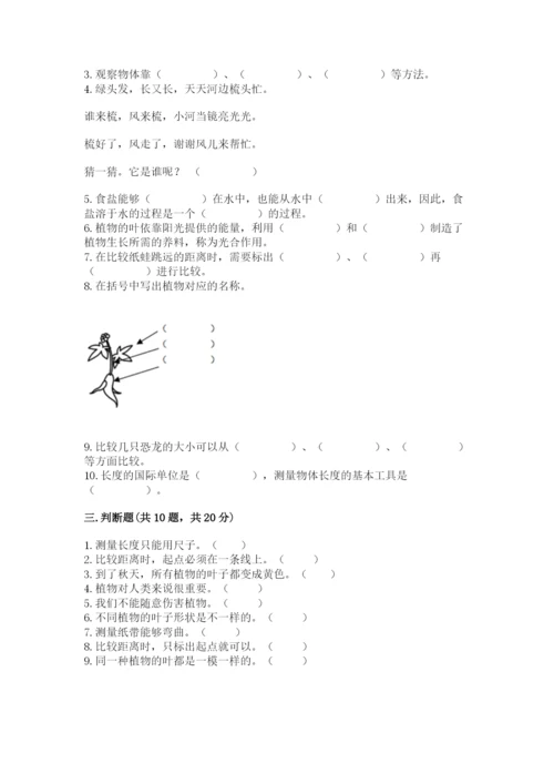 教科版一年级上册科学期末测试卷精品【巩固】.docx