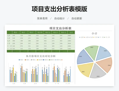 项目支出分析表模版